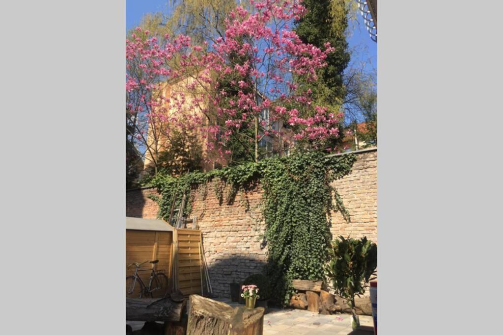 Beautiful Backyard Remise Apartment เบอร์ลิน ภายนอก รูปภาพ